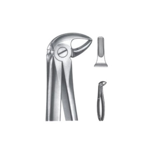 Tooth Extracting Forceps